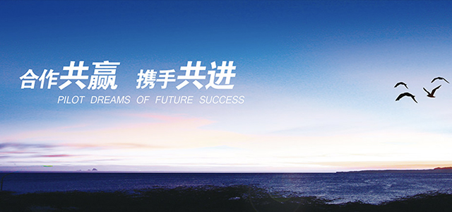 武汉力源信息技术股份有限公司
